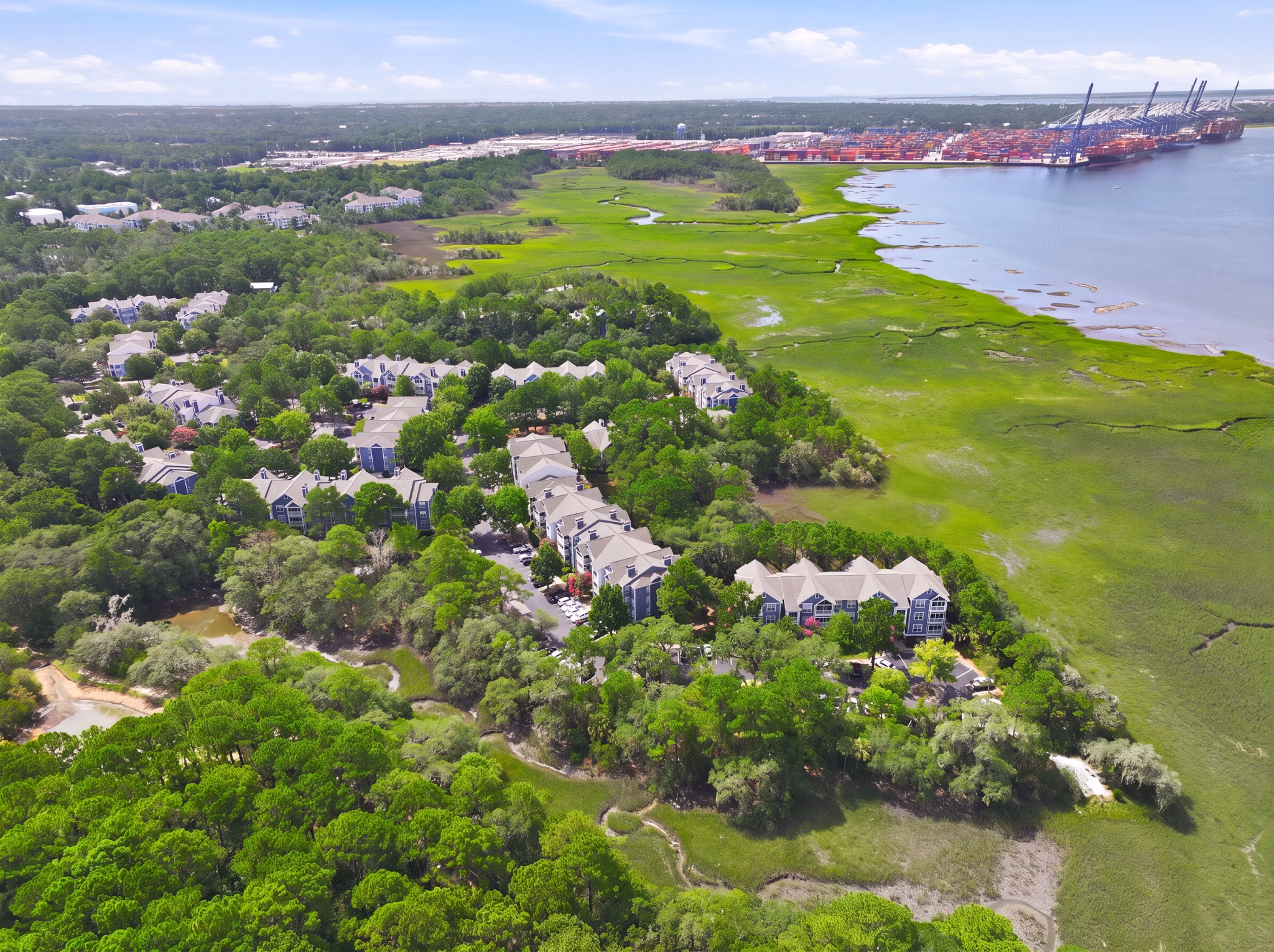 view at Avana Long Point Apartments