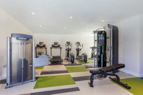 State-of-the-art fitness center with modern equipment at Avana Tempe Apartments