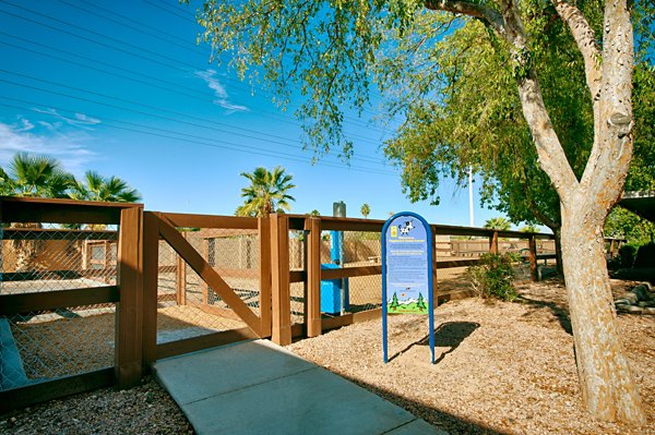 Dog park with agility equipment at Flagstone Apartments in luxury Greystar community