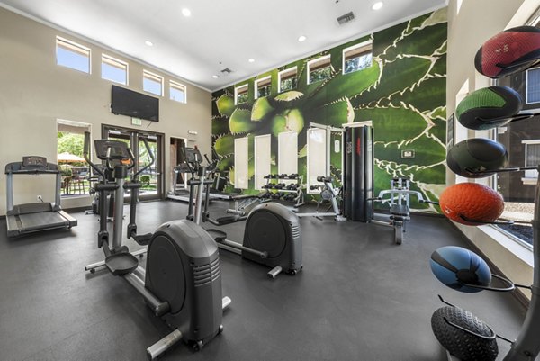 fitness center at Stonebridge Ranch Apartments