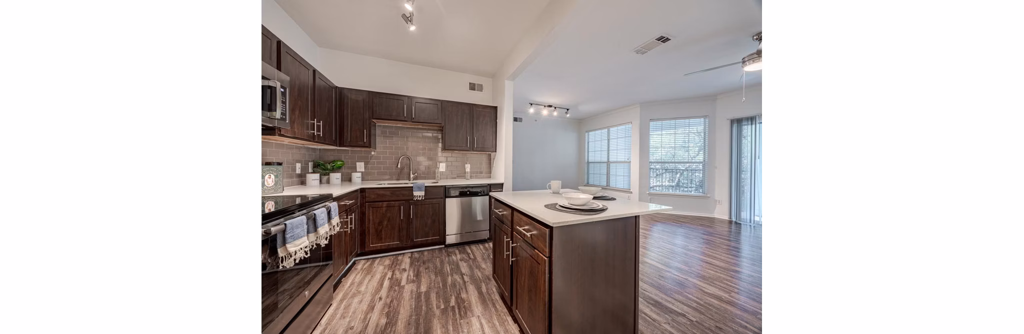 Modern kitchen with stainless steel appliances in The Preserve at Travis Creek Apartments