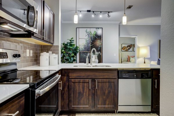 kitchen at The Preserve at Travis Creek Apartments