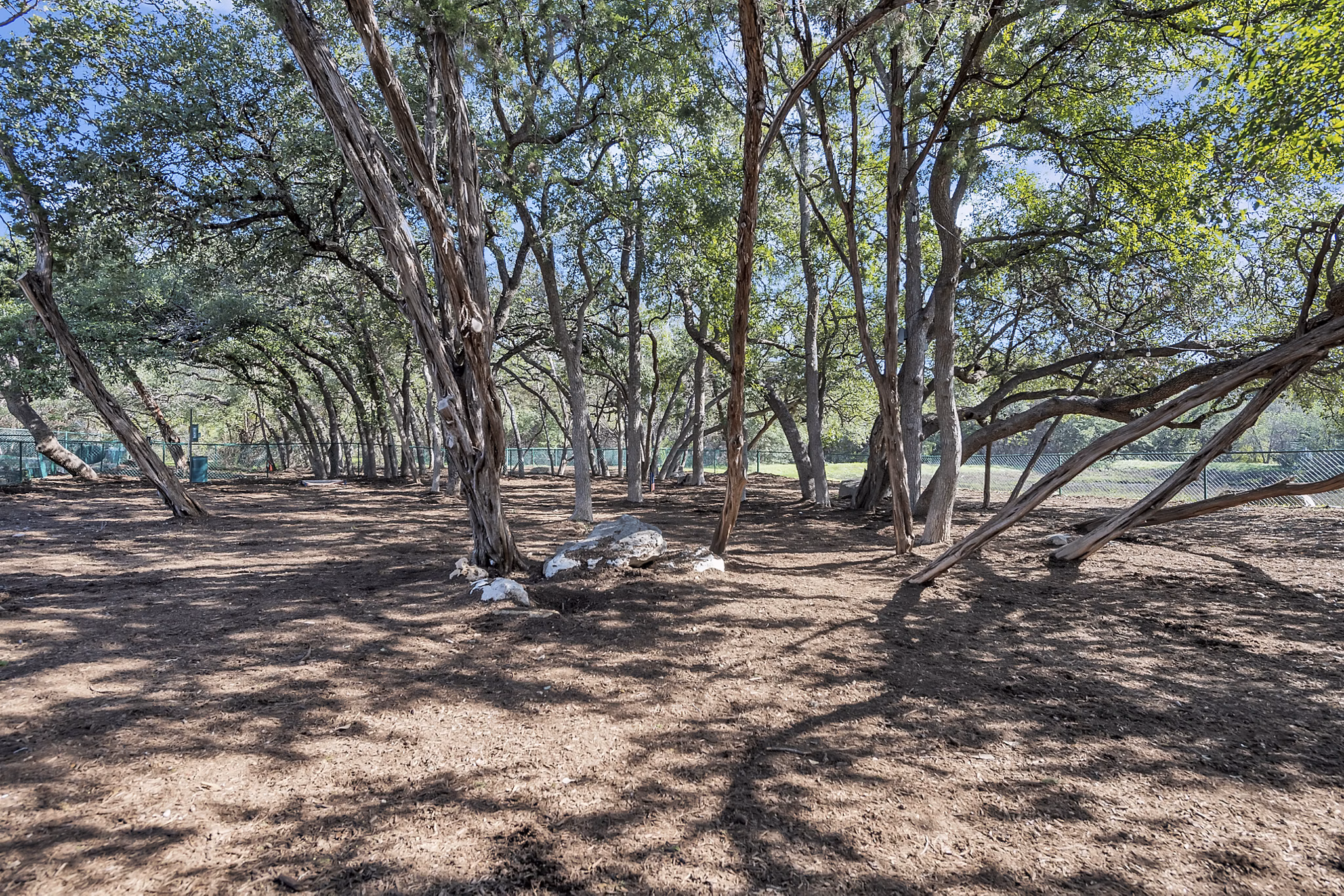 Dog park with agility course at The Preserve at Travis Creek Apartments