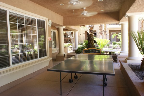 Resort-style swimming pool with palm trees at Palms at Clear Lake luxury apartments