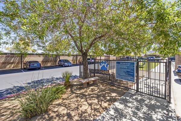 dog park at Colton Apartments