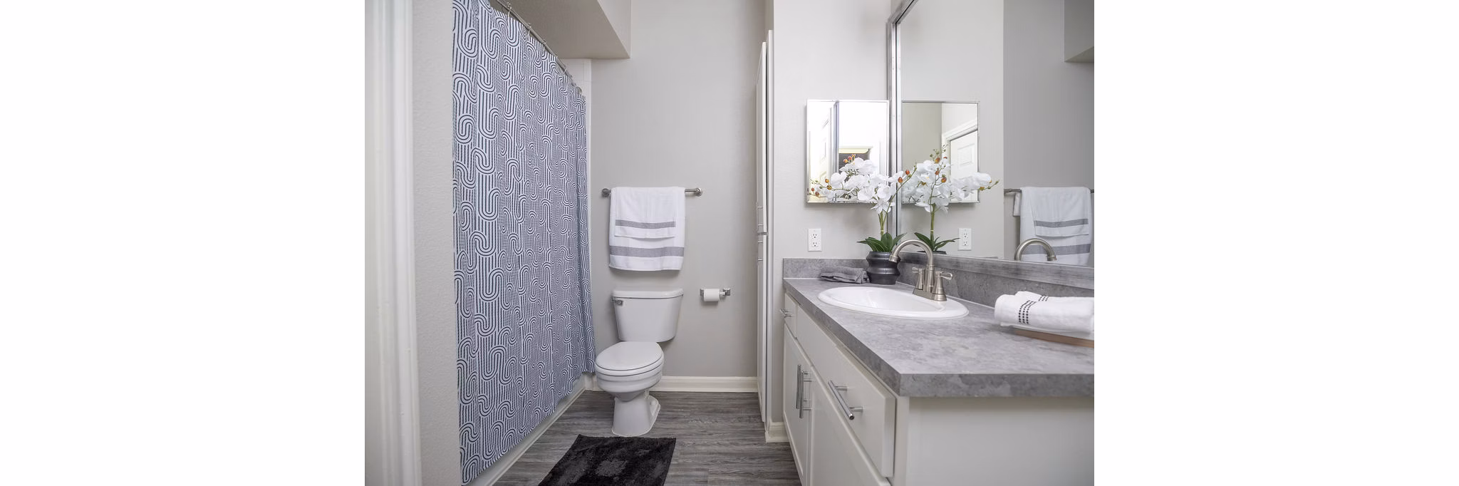 Bathroom at Plaza at River Oaks Apartments
