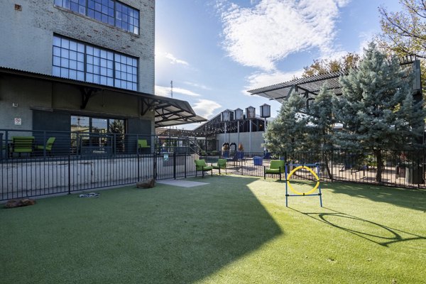 Dog-friendly green space at Mitchell Lofts: luxury apartments with a pet-friendly environment