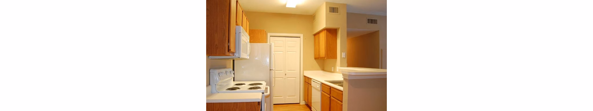 Modern kitchen with stainless steel appliances at Braunfels Place Apartments