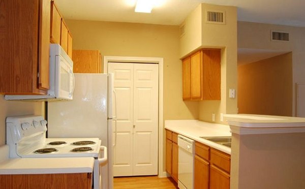 Modern kitchen with stainless steel appliances at Braunfels Place Apartments