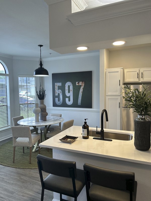 kitchen at Paramount at Kingwood Apartments