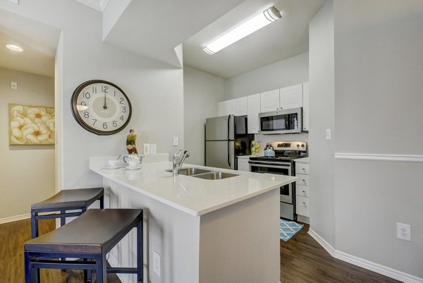 kitchen at Terrazzo Apartments