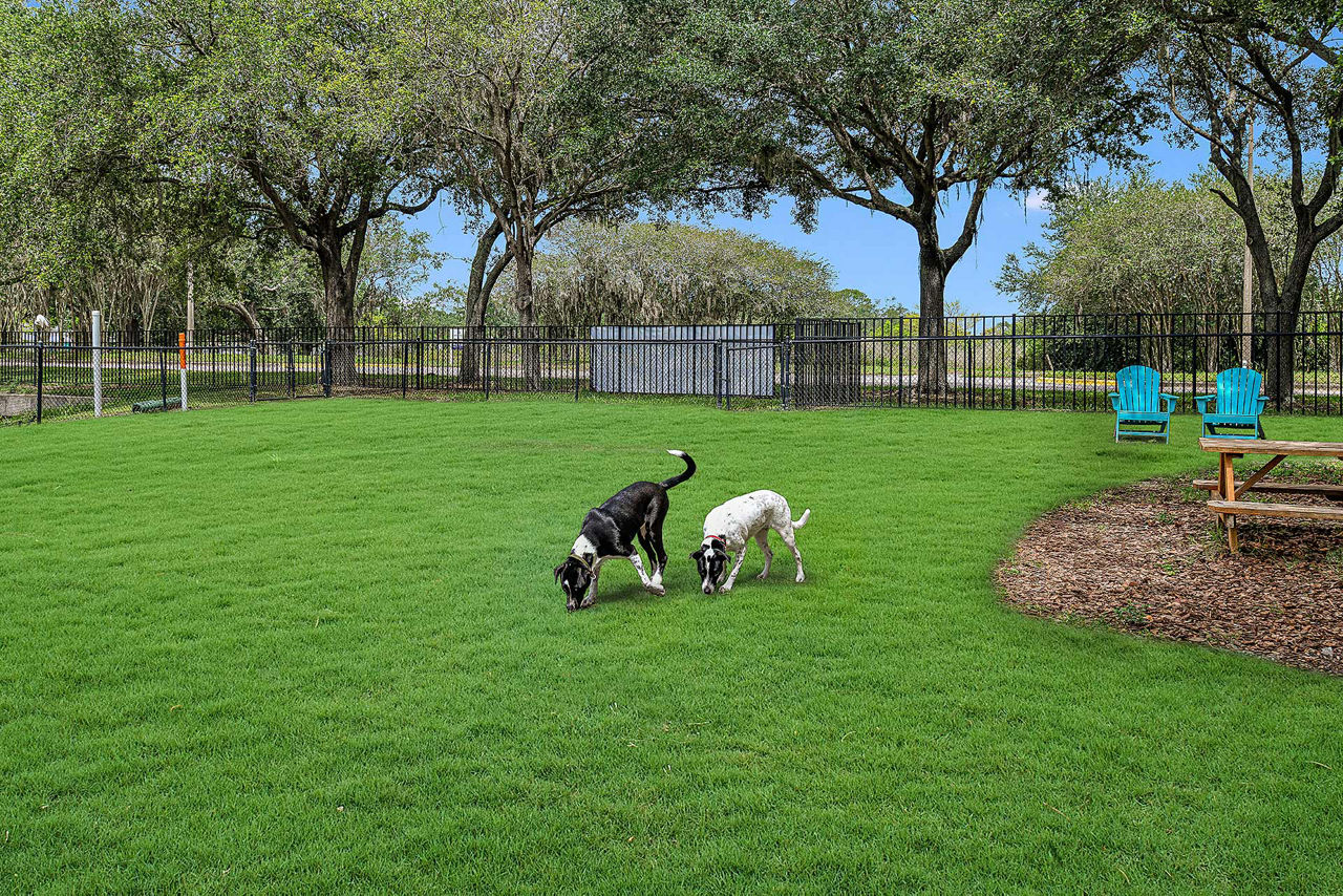 Dog park at Villas At Gateway Apartments (3 of 3)