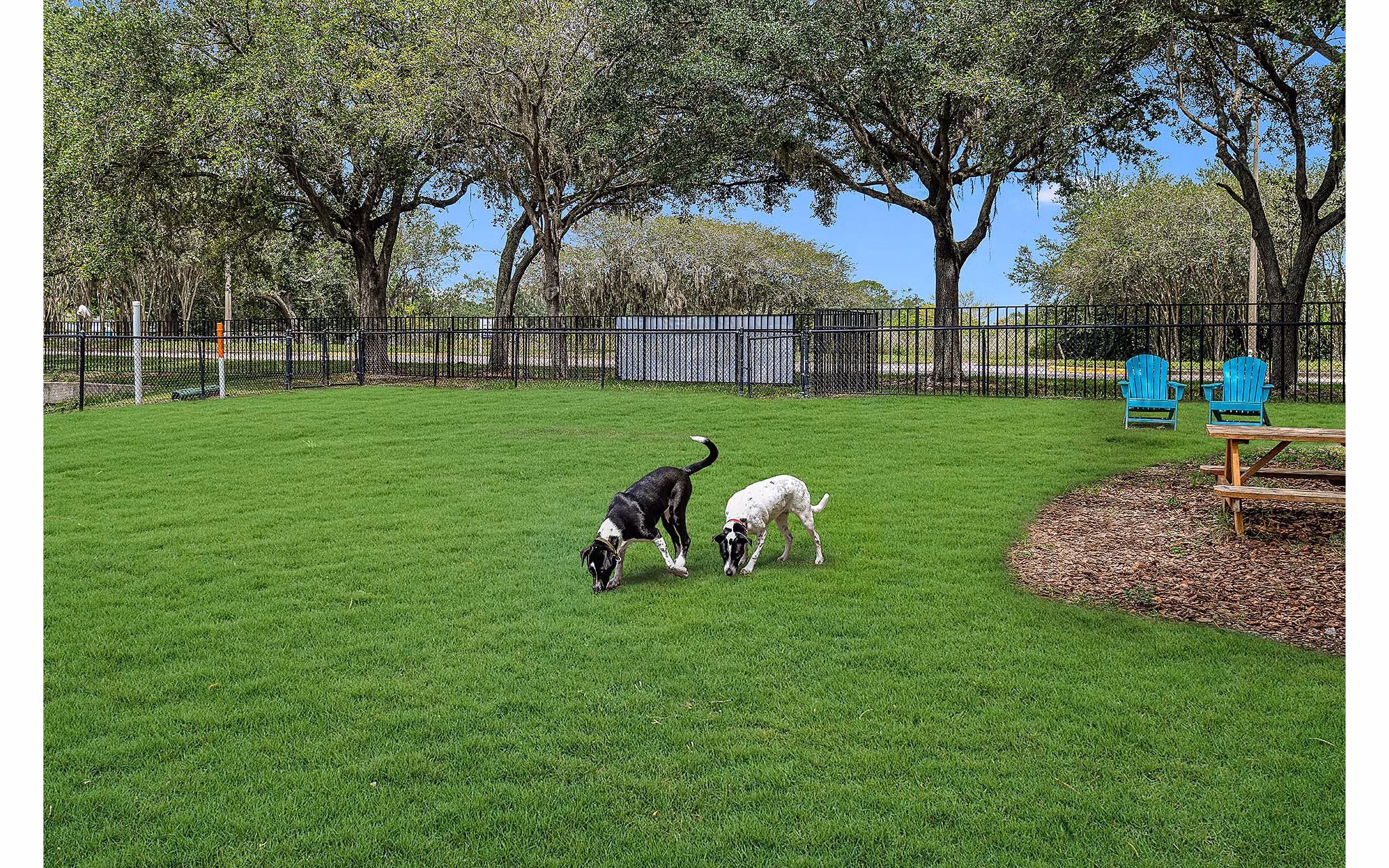 dog park at Villas at Gateway Apartments