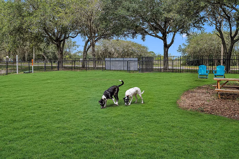 dog park at Villas at Gateway Apartments