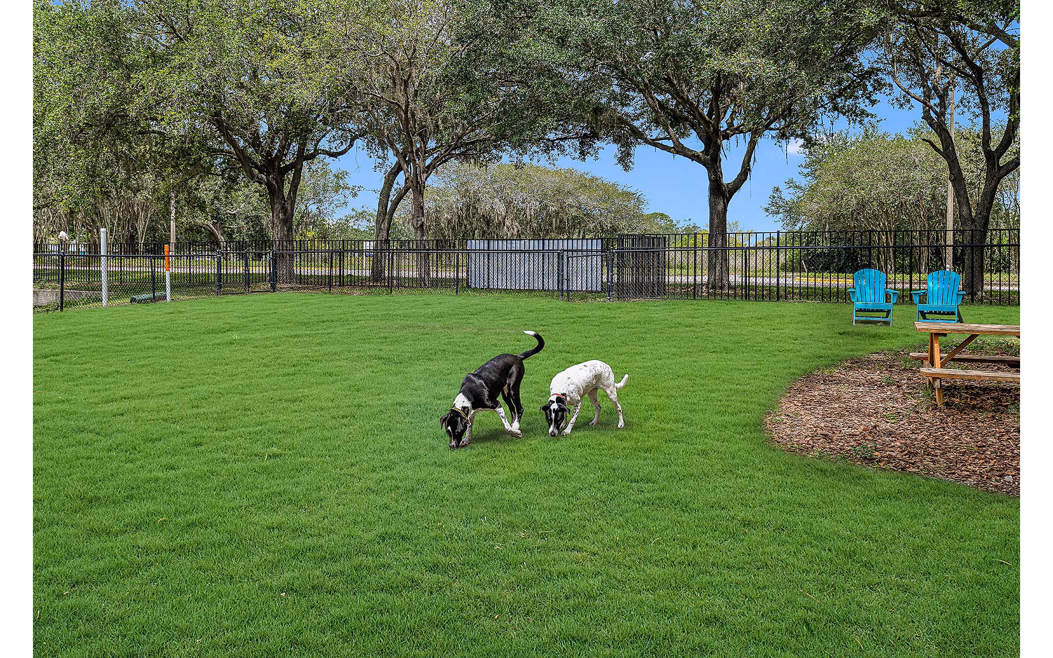 dog park at Villas at Gateway Apartments