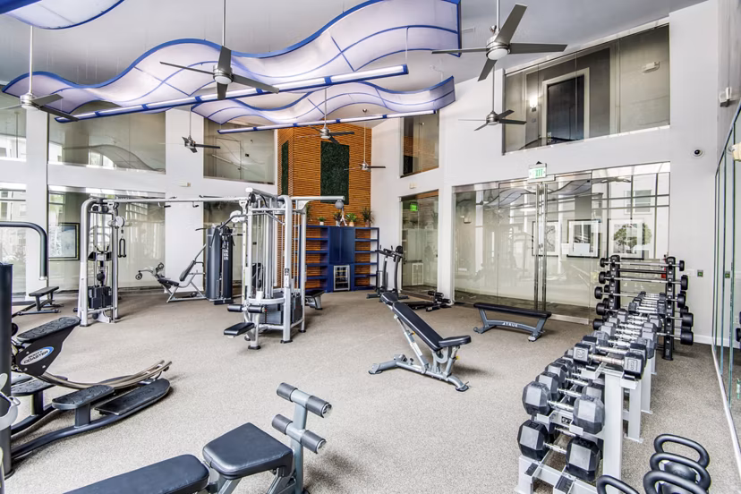 fitness center at Domain at City Centre Apartments