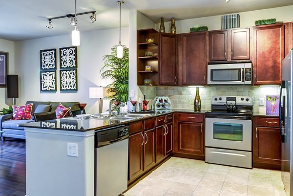 Modern kitchen with stainless steel appliances at The Westheimer Apartments