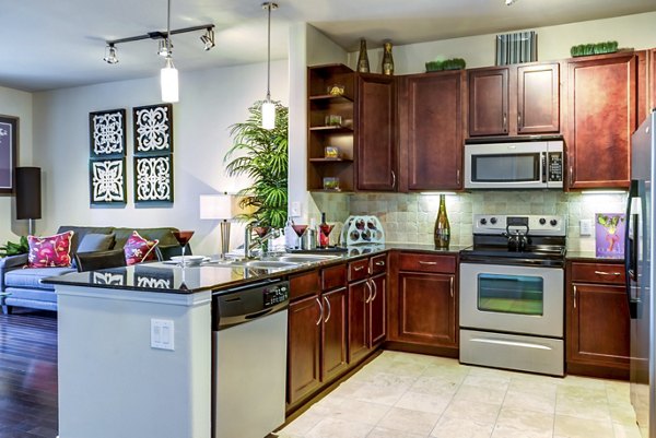 kitchen at The Westheimer Apartments