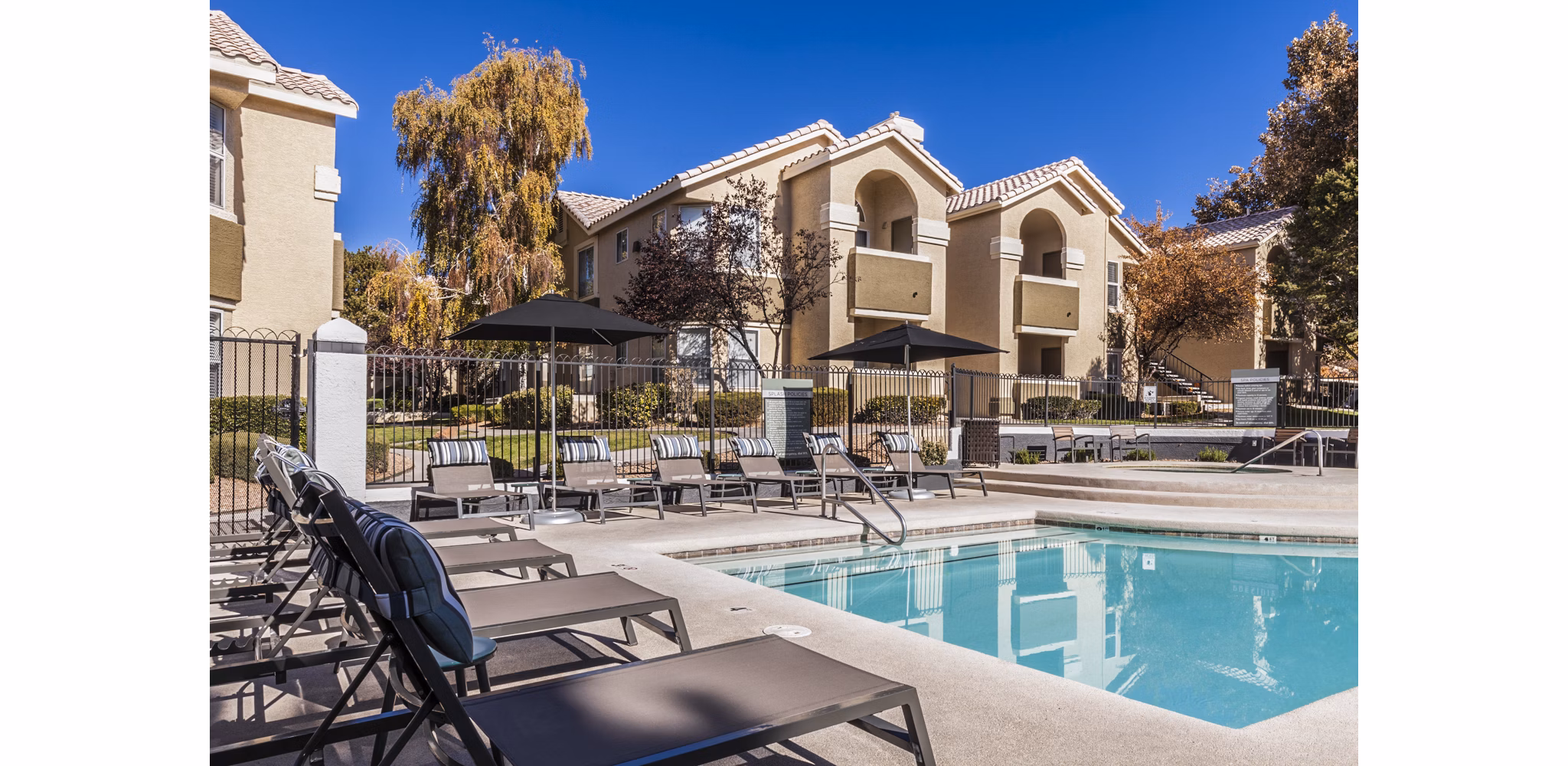 Luxury pool with lounge areas at Ottavo Apartments, a Greystar property in vibrant city setting