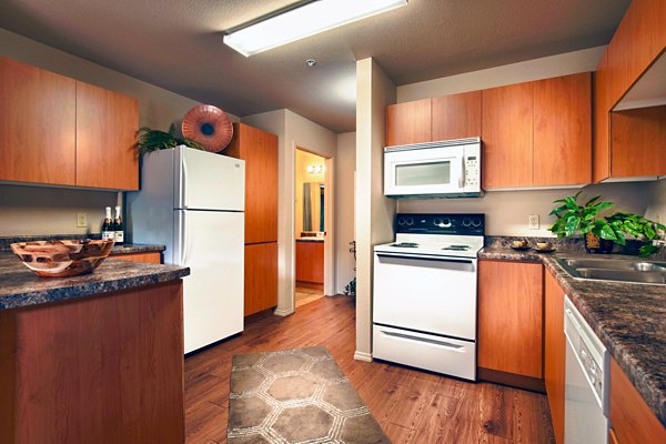 Modern kitchen with sleek cabinetry and stainless steel appliances at Esteban Park Apartments