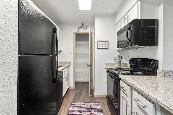 kitchen at Seraphina Castle Hills Apartments 