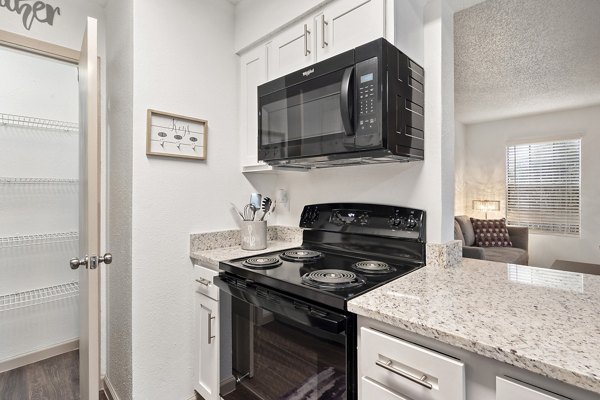 kitchen at Seraphina Castle Hills Apartments 