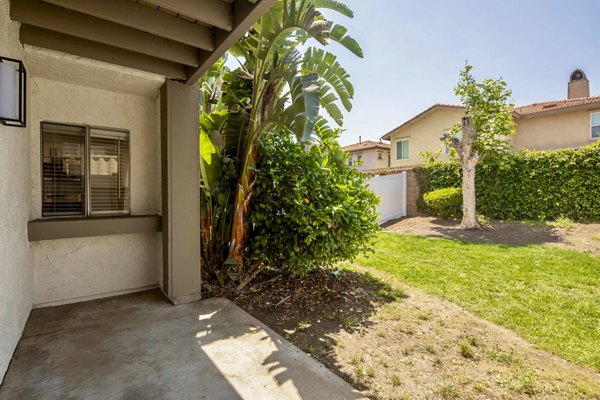 backyard/patio at Rancho Vista Apartment Homes