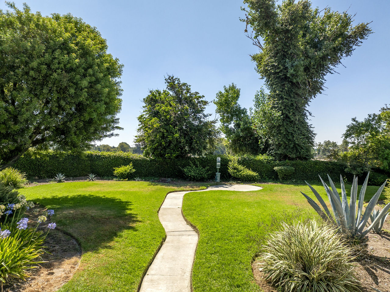Rancho Vista 21 of 32