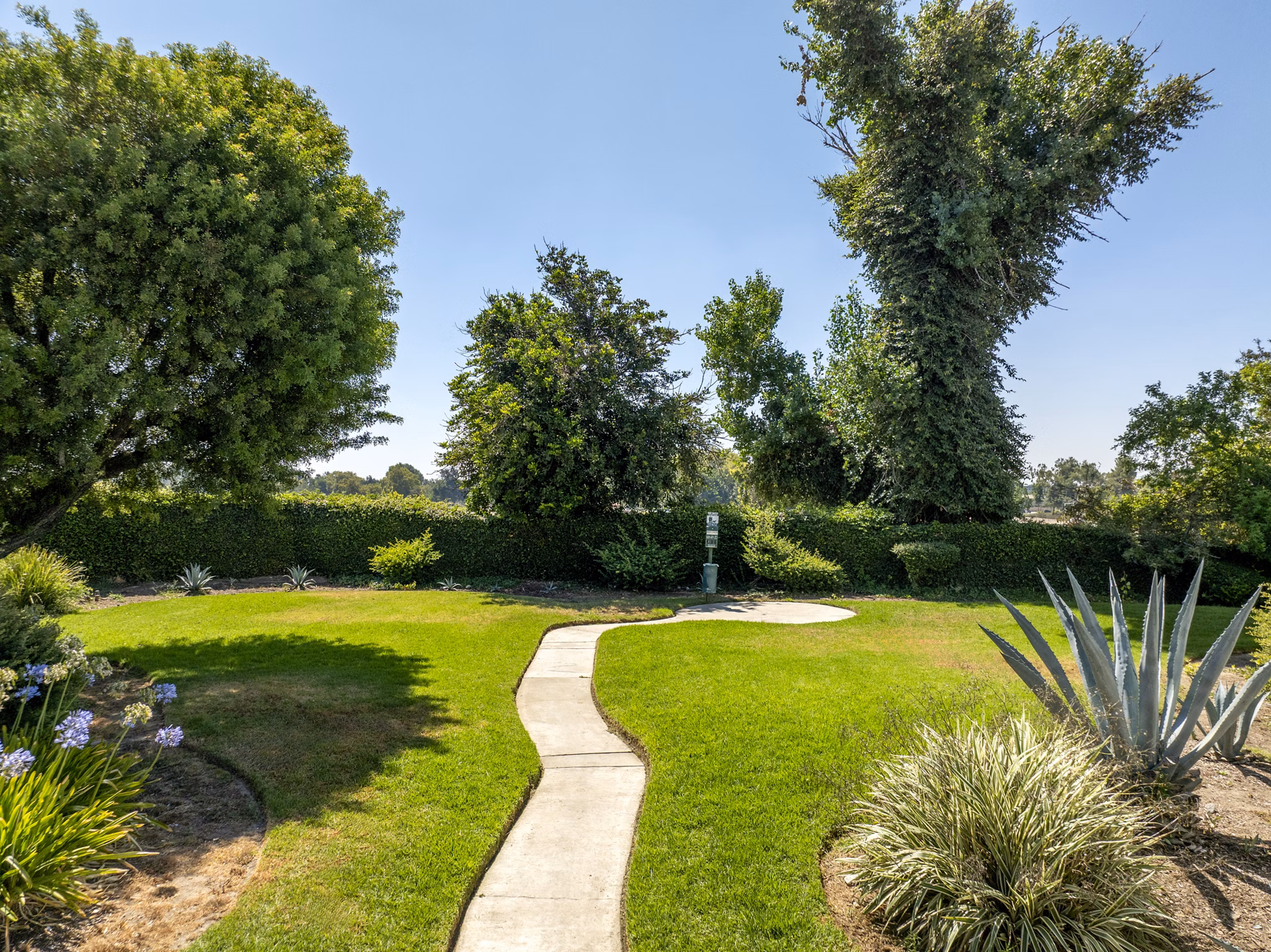 dog park at Rancho Vista Apartments