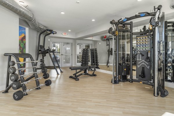 fitness center at The Palladium Apartments 