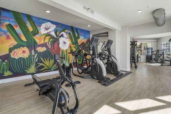 fitness center at The Palladium Apartments 