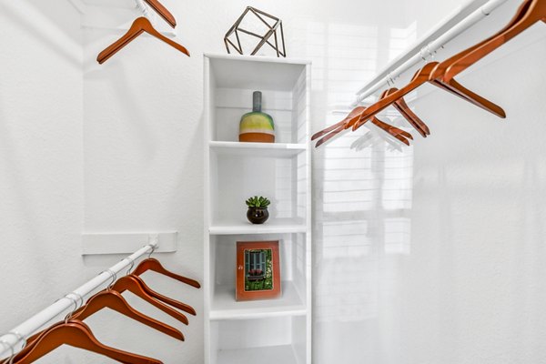 Organized bedroom closet with built-in shelving at The Georgian Apartments