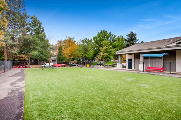 Dog-friendly park with agility equipment at Canyon Reserve at the Ranch Apartments