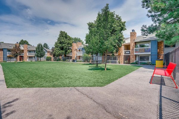 Dog park at Canyon Reserve: Pet-friendly outdoor space at the Ranch Apartments