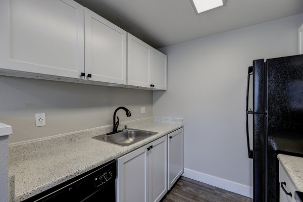 kitchen at Avana Star Lake Apartments