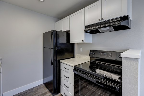 Modern kitchen with stainless steel appliances in Avana Star Lake Apartments, luxury living near Seattle