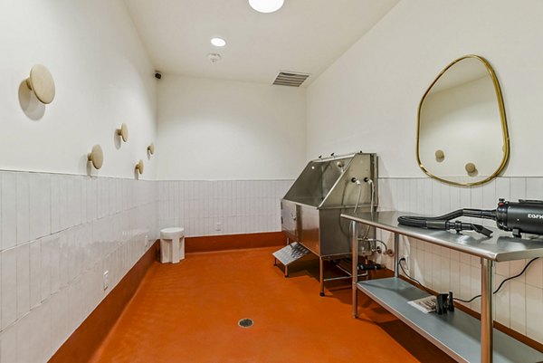 Convenient dog wash station at 44 Monroe Apartments for pet-friendly living in urban setting