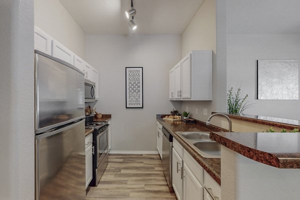 Modern kitchen with stainless steel appliances at Cantata at the Trails Apartments, offering luxury living spaces