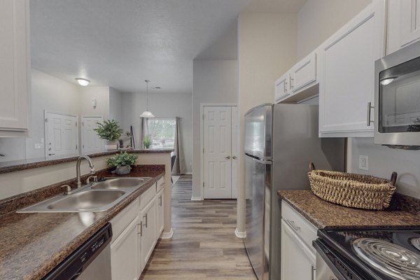 Modern kitchen with stainless steel appliances at Cantata at the Trails Apartments, offering luxury living in a stylish setting