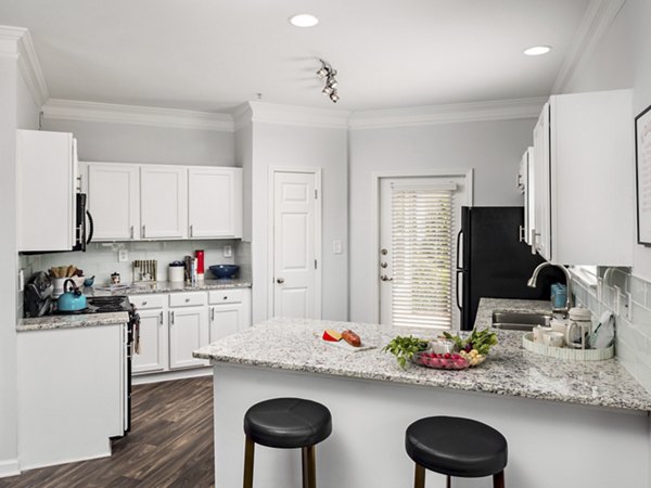 Modern kitchen with stainless steel appliances at Mandalay Villas Apartments, luxury living in a serene setting