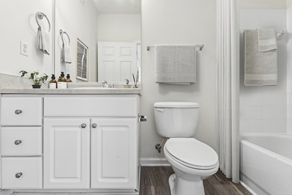 bathroom at The Pointe at New Town Apartments