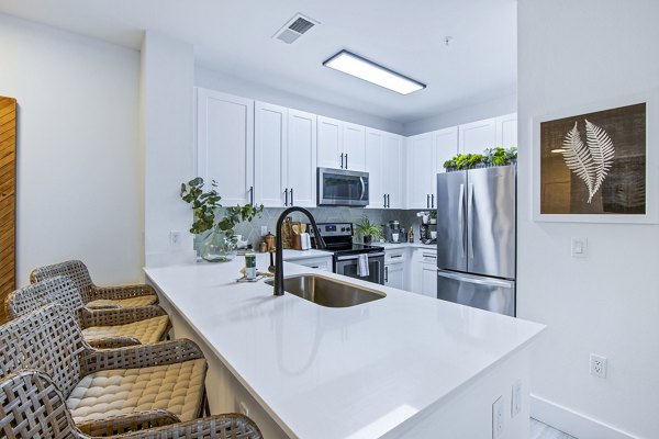 Modern kitchen with stainless steel appliances in luxury 1000 West Apartments