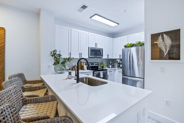 kitchen at 1000 West Apartments