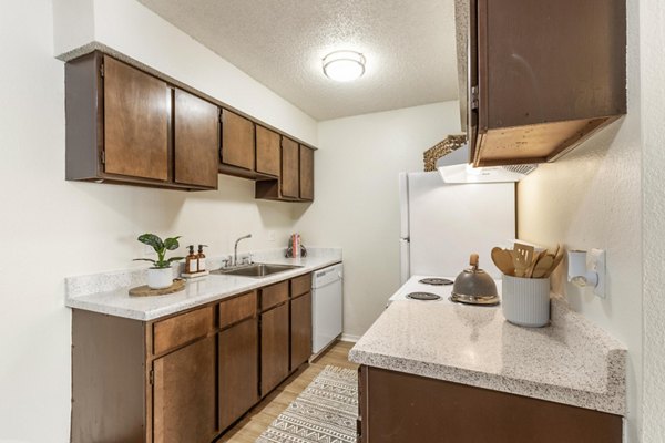 Modern kitchen featuring stainless steel appliances at Cascades at Southern Hills Apartments