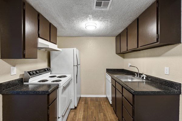 Modern kitchen with stainless steel appliances at Cascades at Southern Hills Apartments