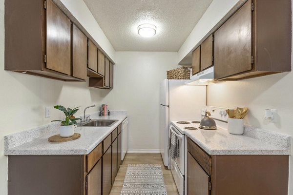 Modern kitchen with stainless steel appliances at Cascades at Southern Hills Apartments