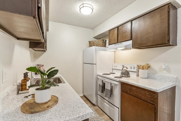 Modern kitchen with stainless steel appliances at Cascades at Southern Hills Apartments
