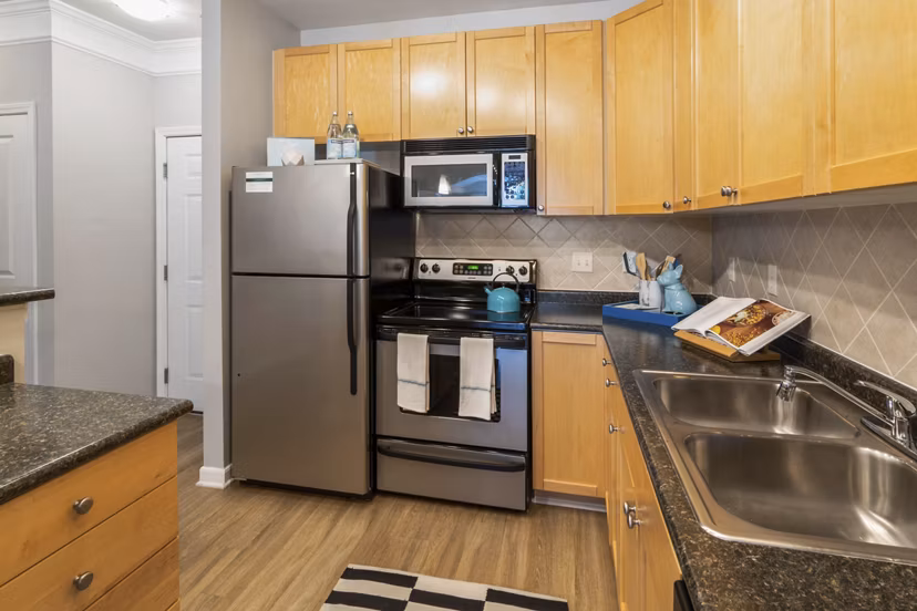 Modern kitchen with stainless steel appliances at Oberlin Court Apartments, featuring ample storage and counter space