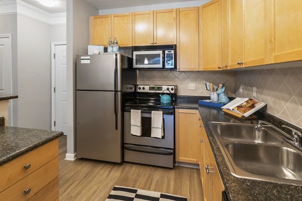 Modern kitchen with stainless steel appliances at Oberlin Court Apartments, featuring ample storage and counter space