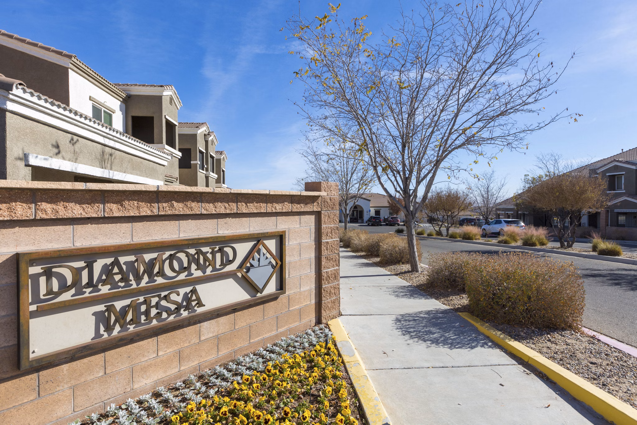 Diamond Mesa Apartments: Modern signage at entrance with landscaped surroundings